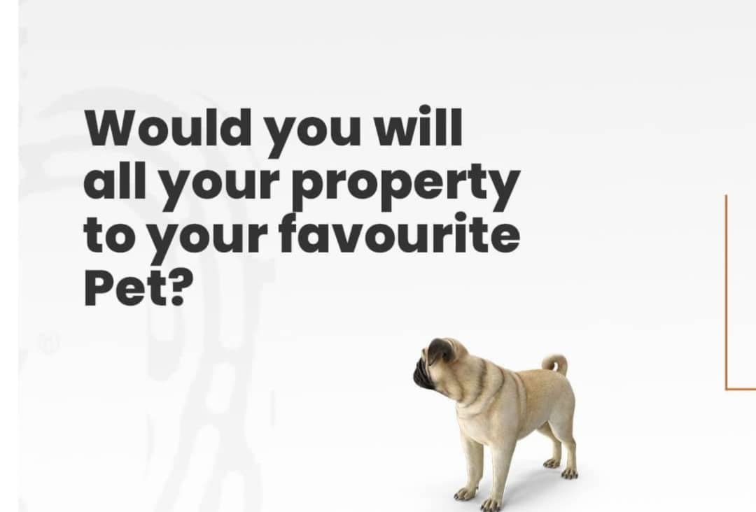 Would you will your property to your favourite pet? | LandWey