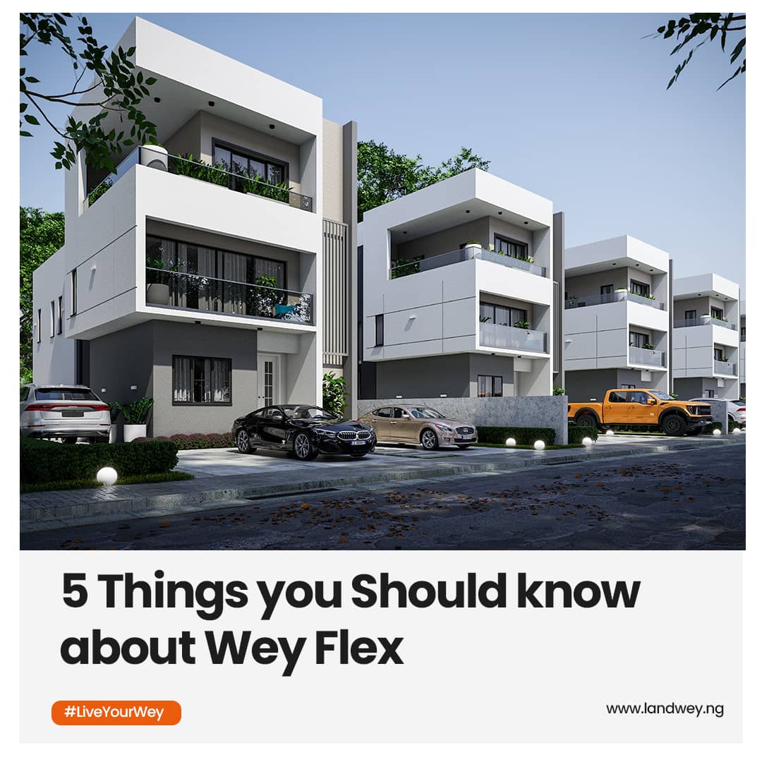5 Things you should know about Wey Flex