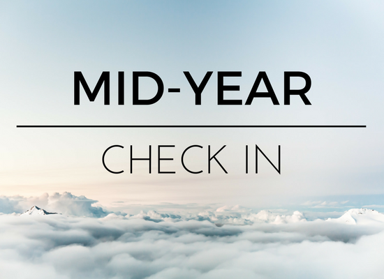 mid-year-check-in-2017-2